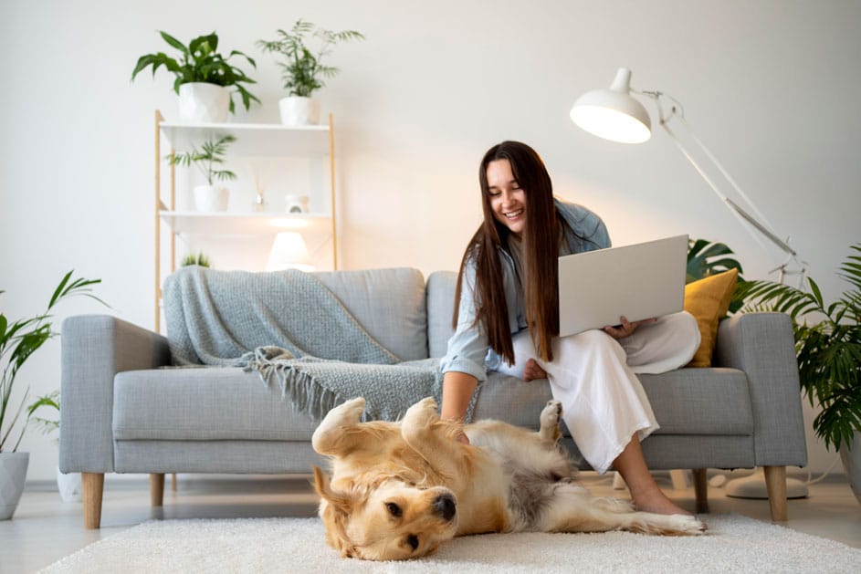 full-shot-woman-working-with-cute-dog